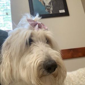 Meet your Posher, Cassie